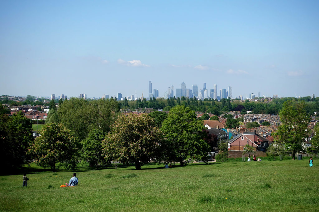 Blythe Hill Fields london