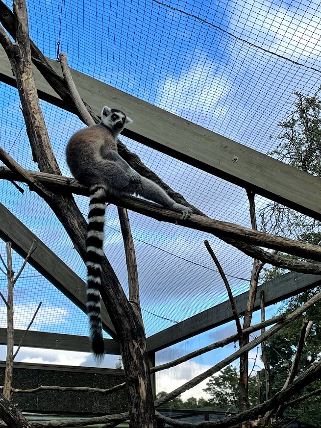 londonzoo倫敦動物園