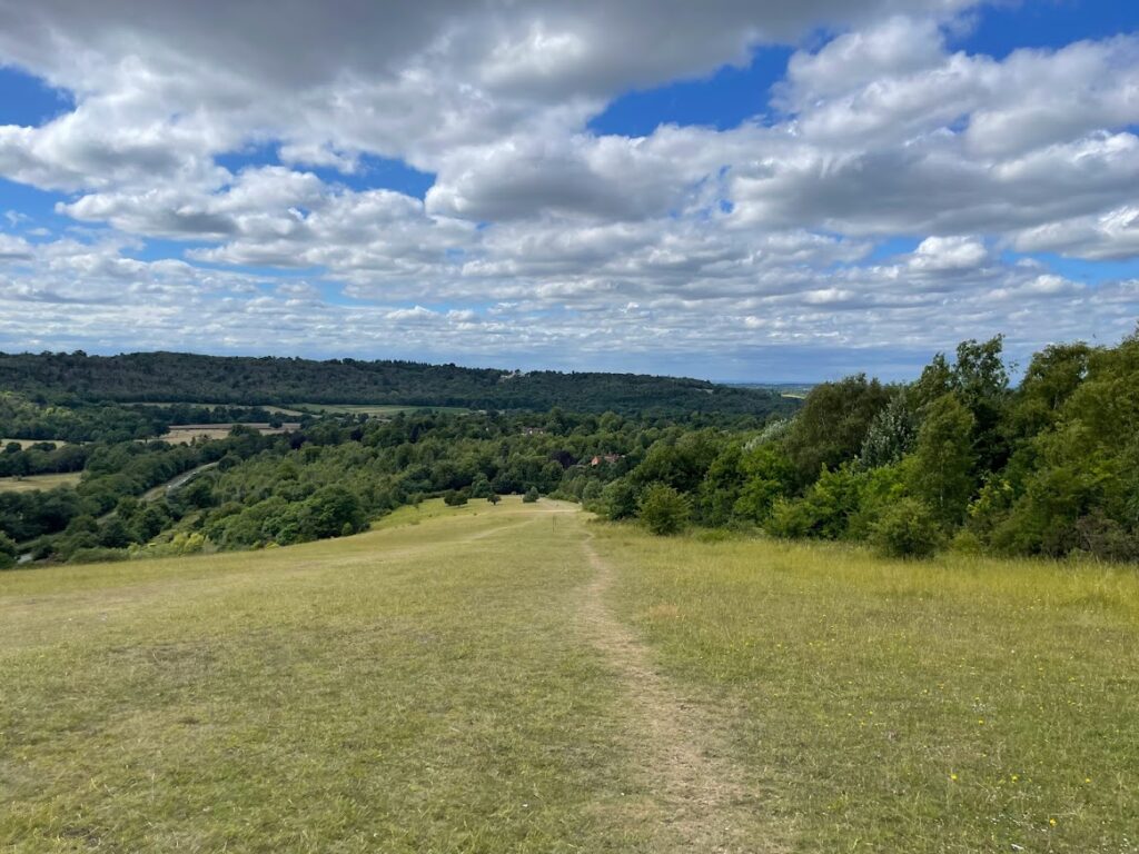 倫敦近郊行山Box Hill